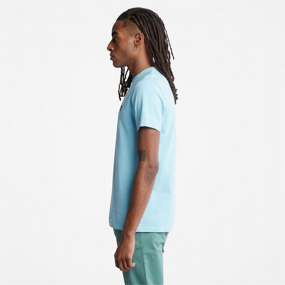 Pánské Tričko Timberland Dunstan River T-Shirt Blankyt | TI39802-013