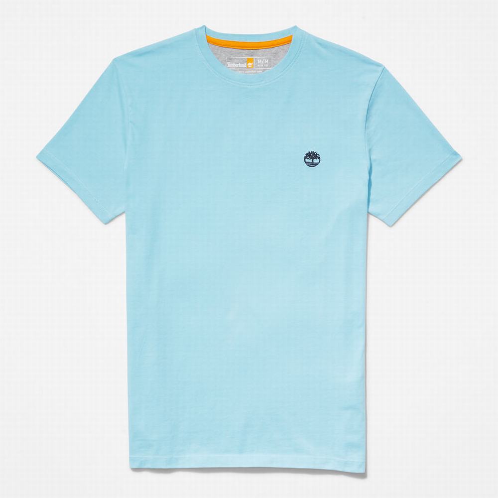 Pánské Tričko Timberland Dunstan River T-Shirt Blankyt | TI39802-013