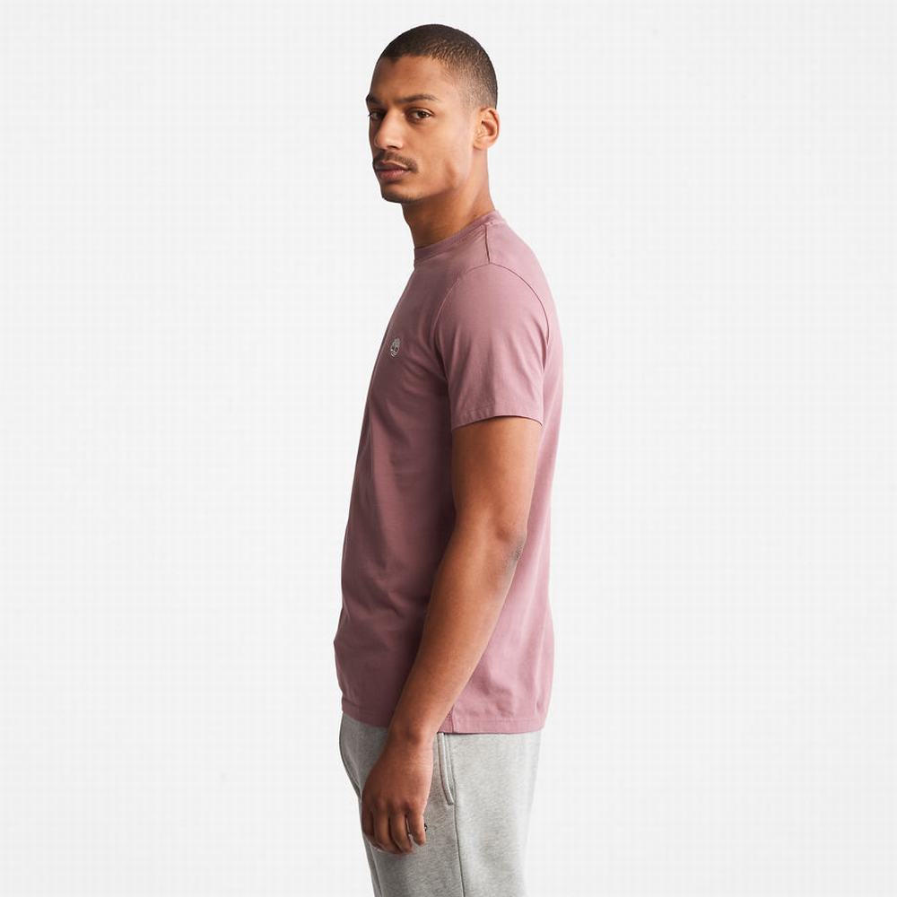 Pánské Tričko Timberland Dunstan River T-Shirt Růžové | TI46208-012