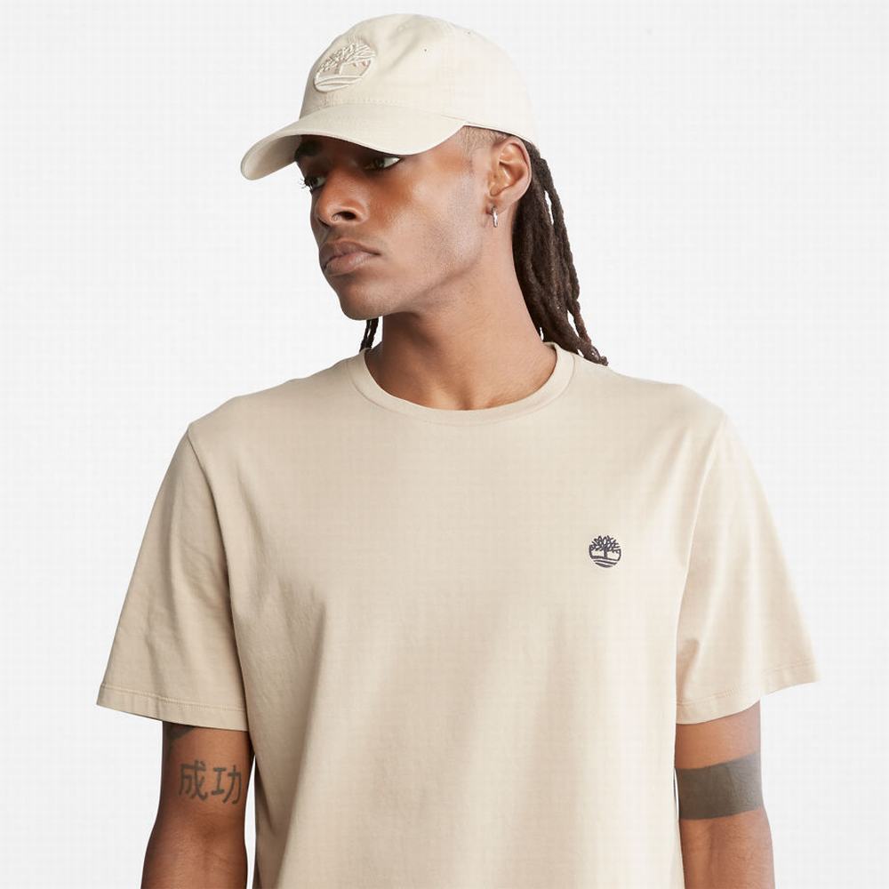 Pánské Tričko Timberland Dunstan River T-Shirt Béžový | TI58419-576
