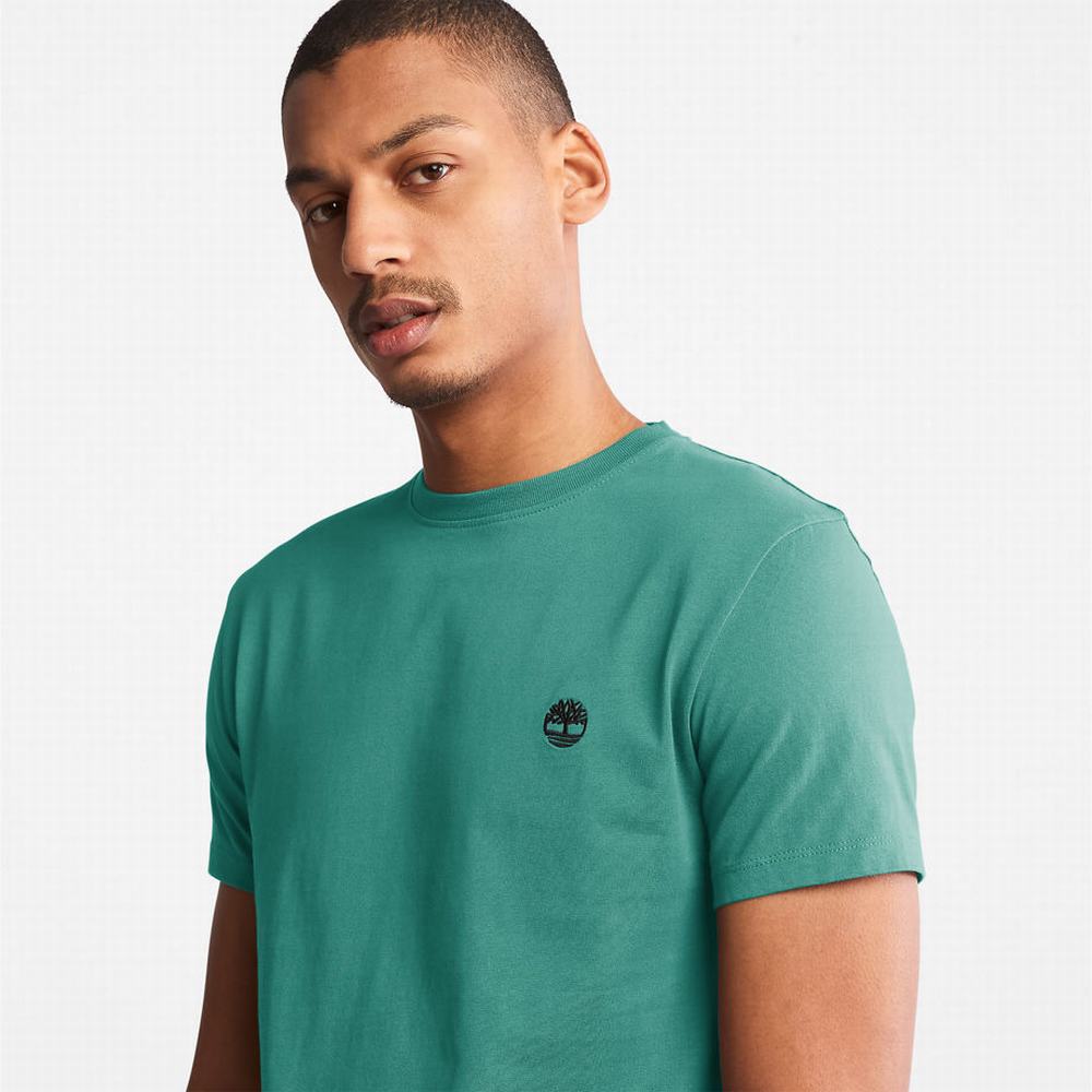 Pánské Tričko Timberland Dunstan River T-Shirt Zelene | TI65489-098