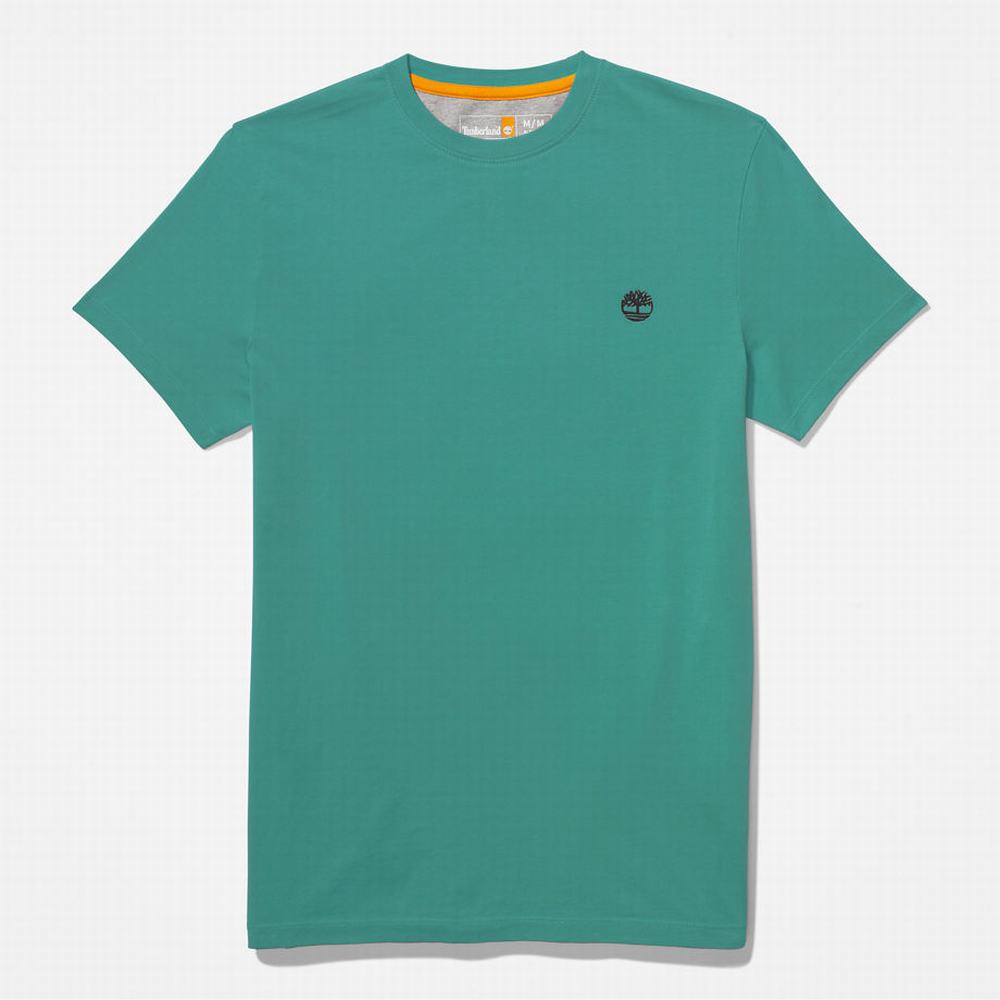 Pánské Tričko Timberland Dunstan River T-Shirt Zelene | TI65489-098