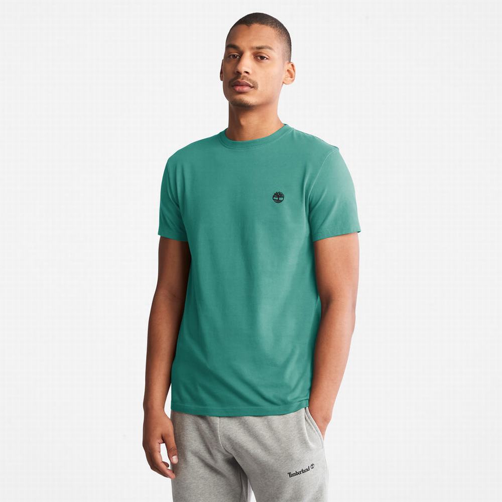 Pánské Tričko Timberland Dunstan River T-Shirt Zelene | TI65489-098