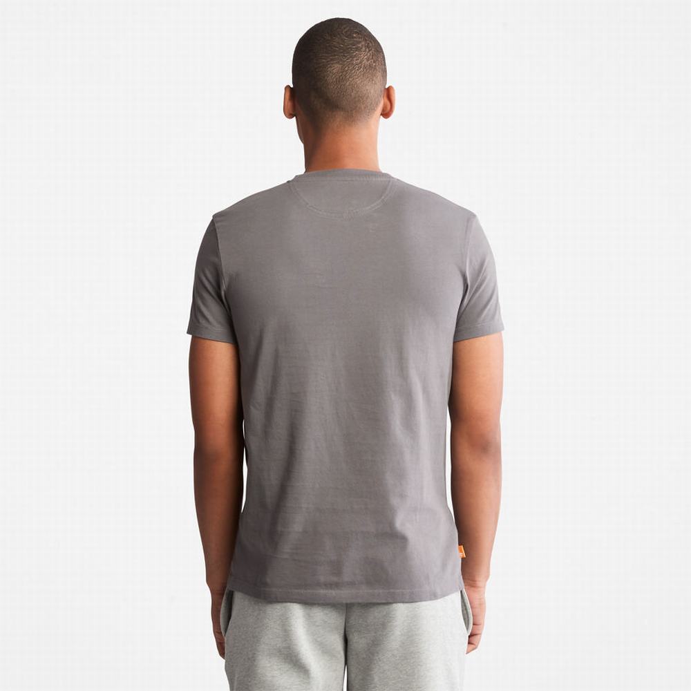 Pánské Tričko Timberland Dunstan River T-Shirt Šedé | TI72856-231