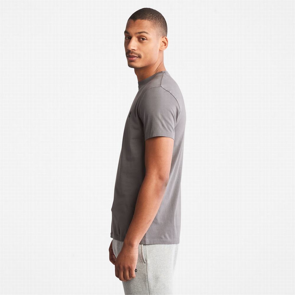 Pánské Tričko Timberland Dunstan River T-Shirt Šedé | TI72856-231