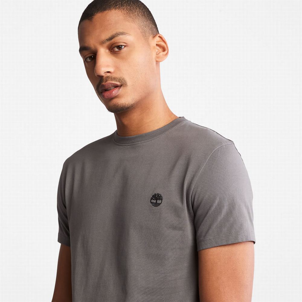 Pánské Tričko Timberland Dunstan River T-Shirt Šedé | TI72856-231