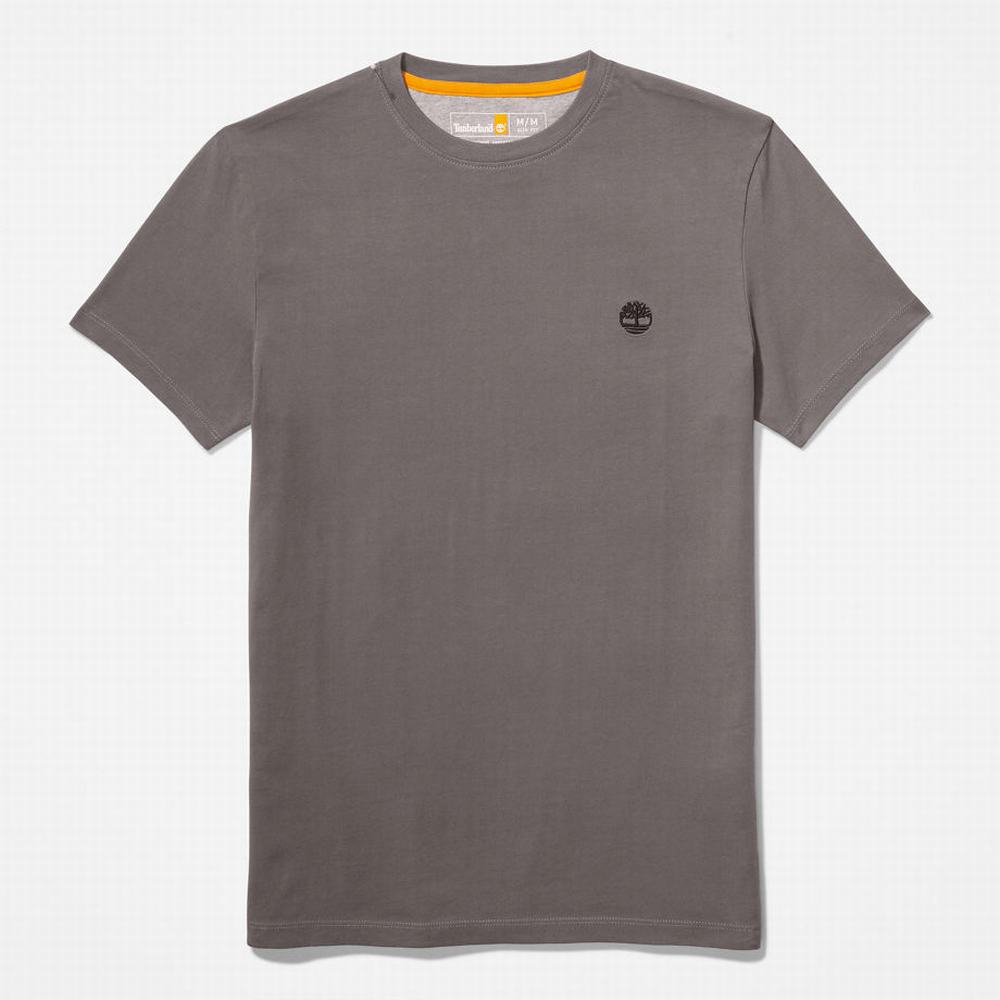 Pánské Tričko Timberland Dunstan River T-Shirt Šedé | TI72856-231