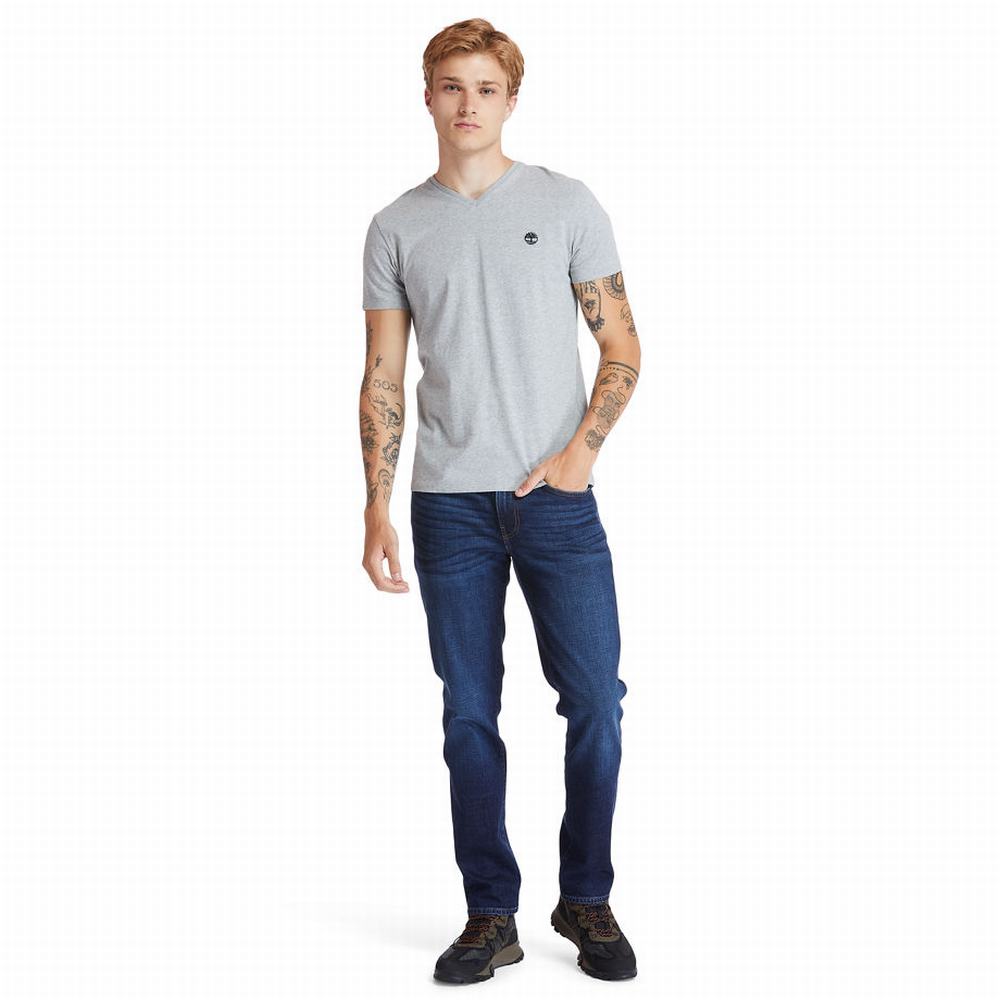 Pánské Tričko Timberland Dunstan River V-Neck T-Shirt Šedé | TI65038-340