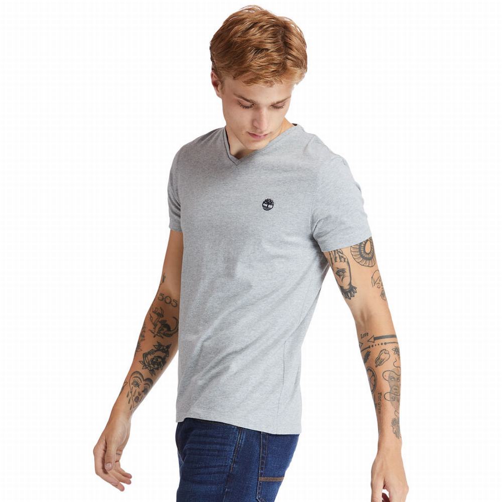 Pánské Tričko Timberland Dunstan River V-Neck T-Shirt Šedé | TI65038-340
