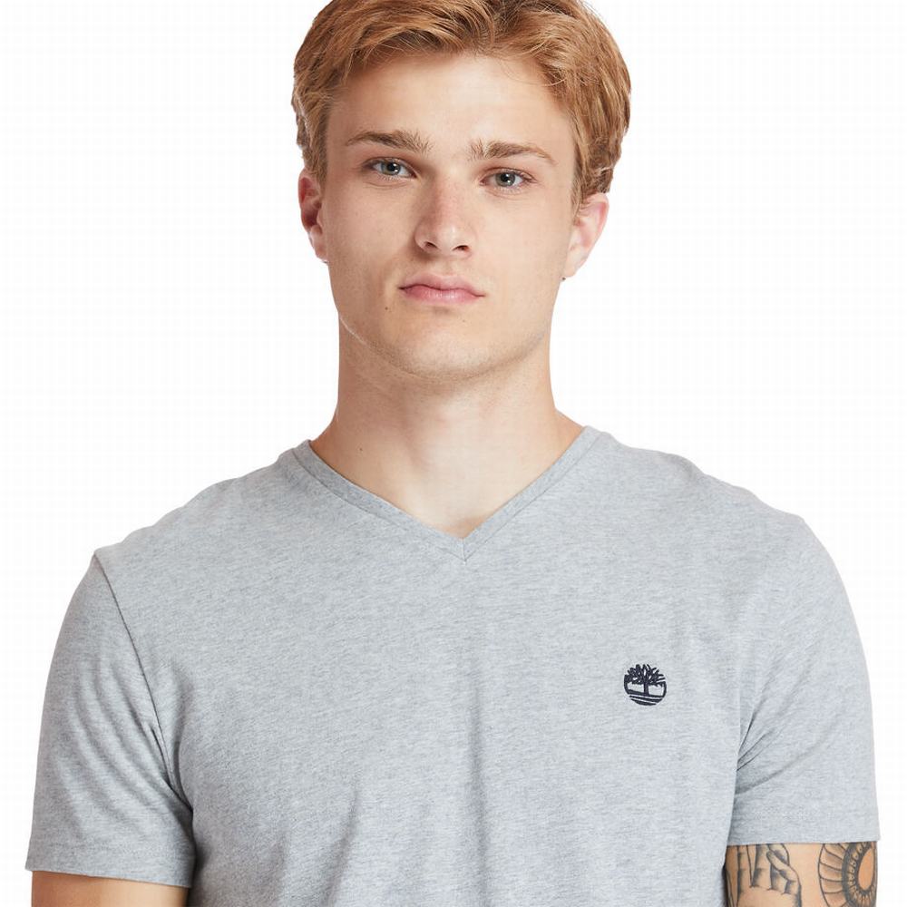 Pánské Tričko Timberland Dunstan River V-Neck T-Shirt Šedé | TI65038-340