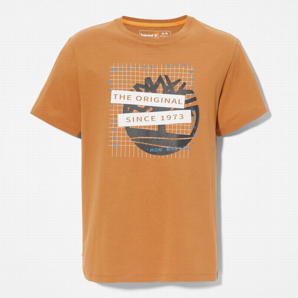 Pánské Tričko Timberland Front-Graphic T-Shirt Hnědé | TI51083-829