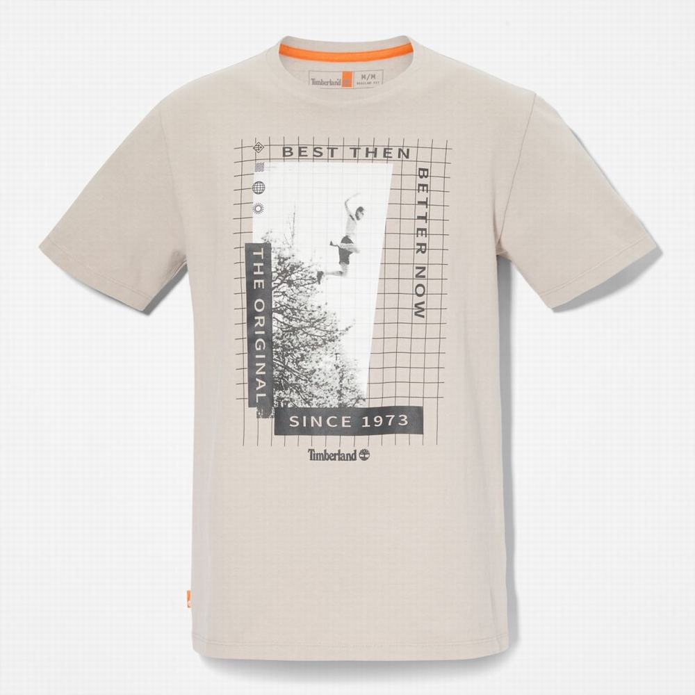 Pánské Tričko Timberland Heavyweight Front-Graphic T-Shirt Taupe | TI54209-369
