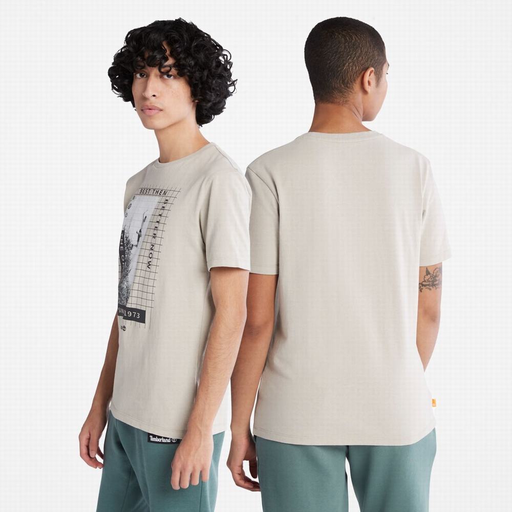 Pánské Tričko Timberland Heavyweight Front-Graphic T-Shirt Taupe | TI54209-369