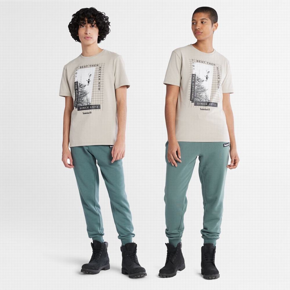 Pánské Tričko Timberland Heavyweight Front-Graphic T-Shirt Taupe | TI54209-369