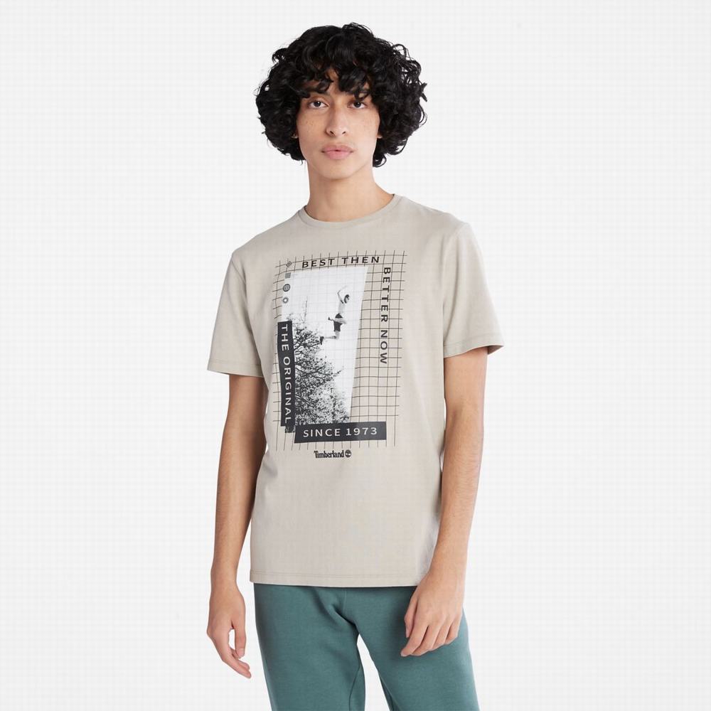 Pánské Tričko Timberland Heavyweight Front-Graphic T-Shirt Taupe | TI54209-369