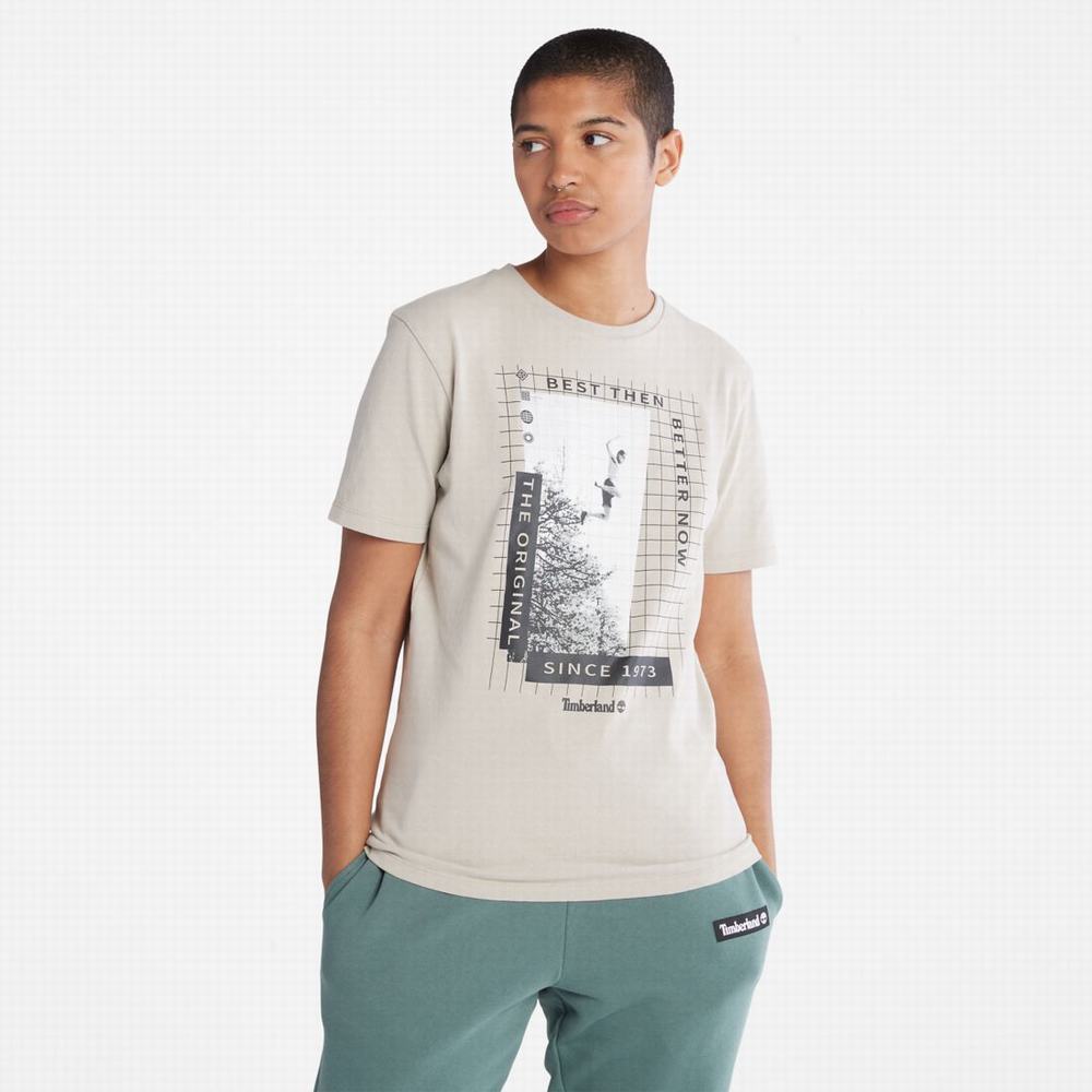 Pánské Tričko Timberland Heavyweight Front-Graphic T-Shirt Taupe | TI54209-369
