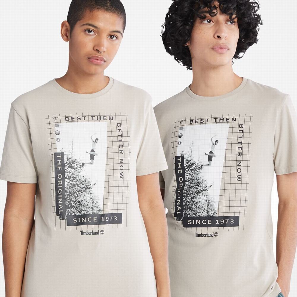 Pánské Tričko Timberland Heavyweight Front-Graphic T-Shirt Taupe | TI54209-369