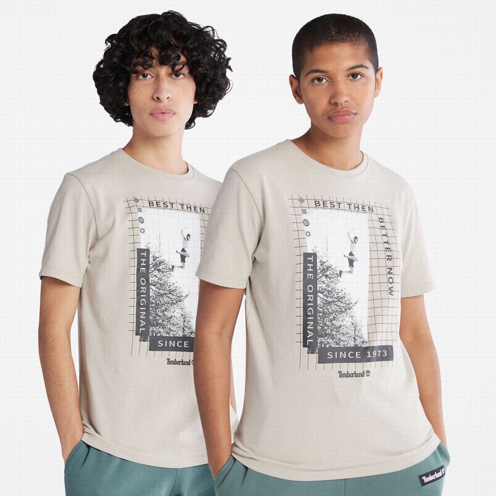 Pánské Tričko Timberland Heavyweight Front-Graphic T-Shirt Taupe | TI54209-369