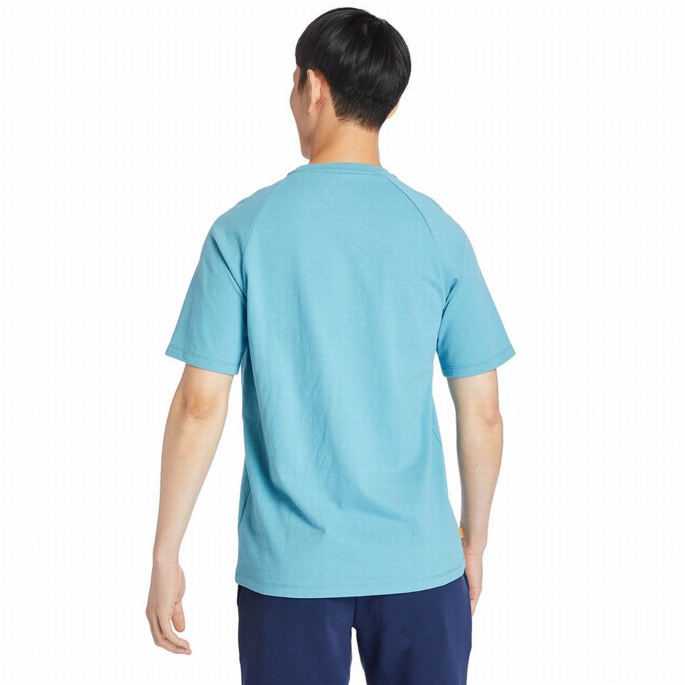 Pánské Tričko Timberland Heavyweight Logo T-Shirt Blankyt | TI19207-743