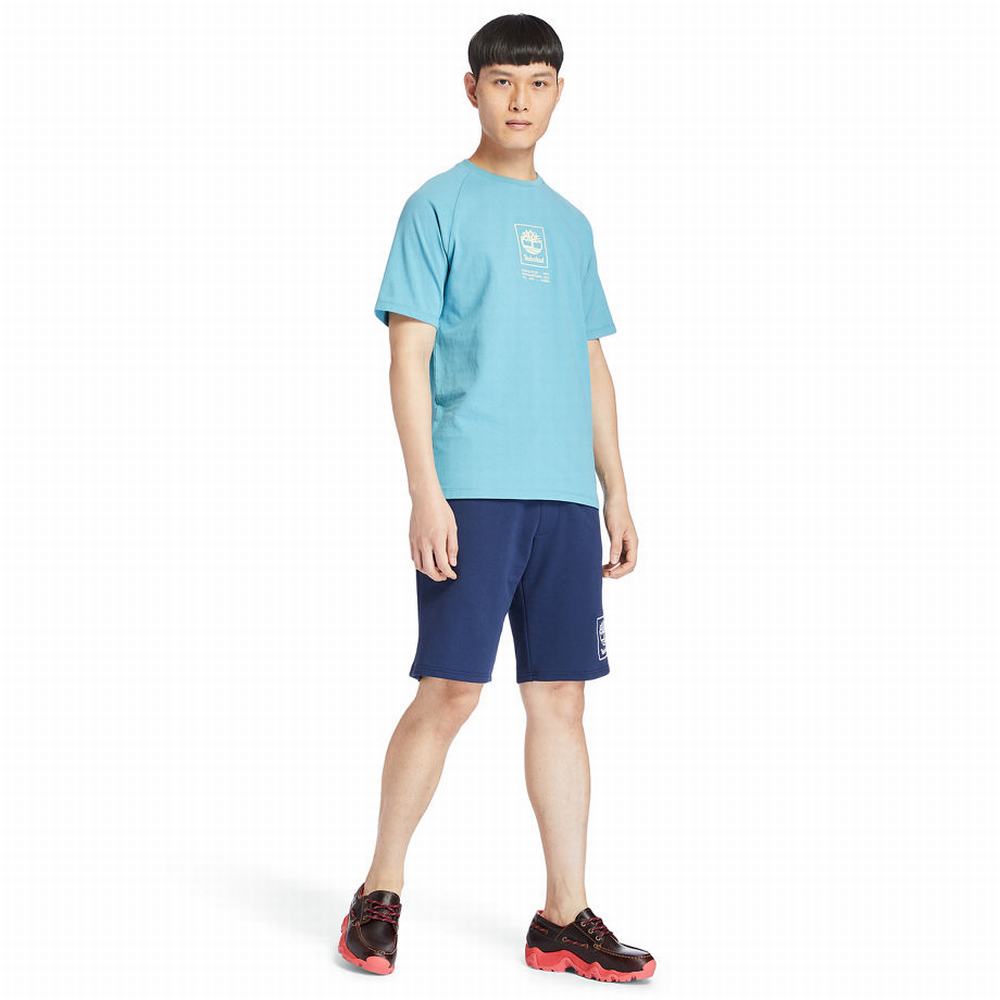 Pánské Tričko Timberland Heavyweight Logo T-Shirt Blankyt | TI19207-743