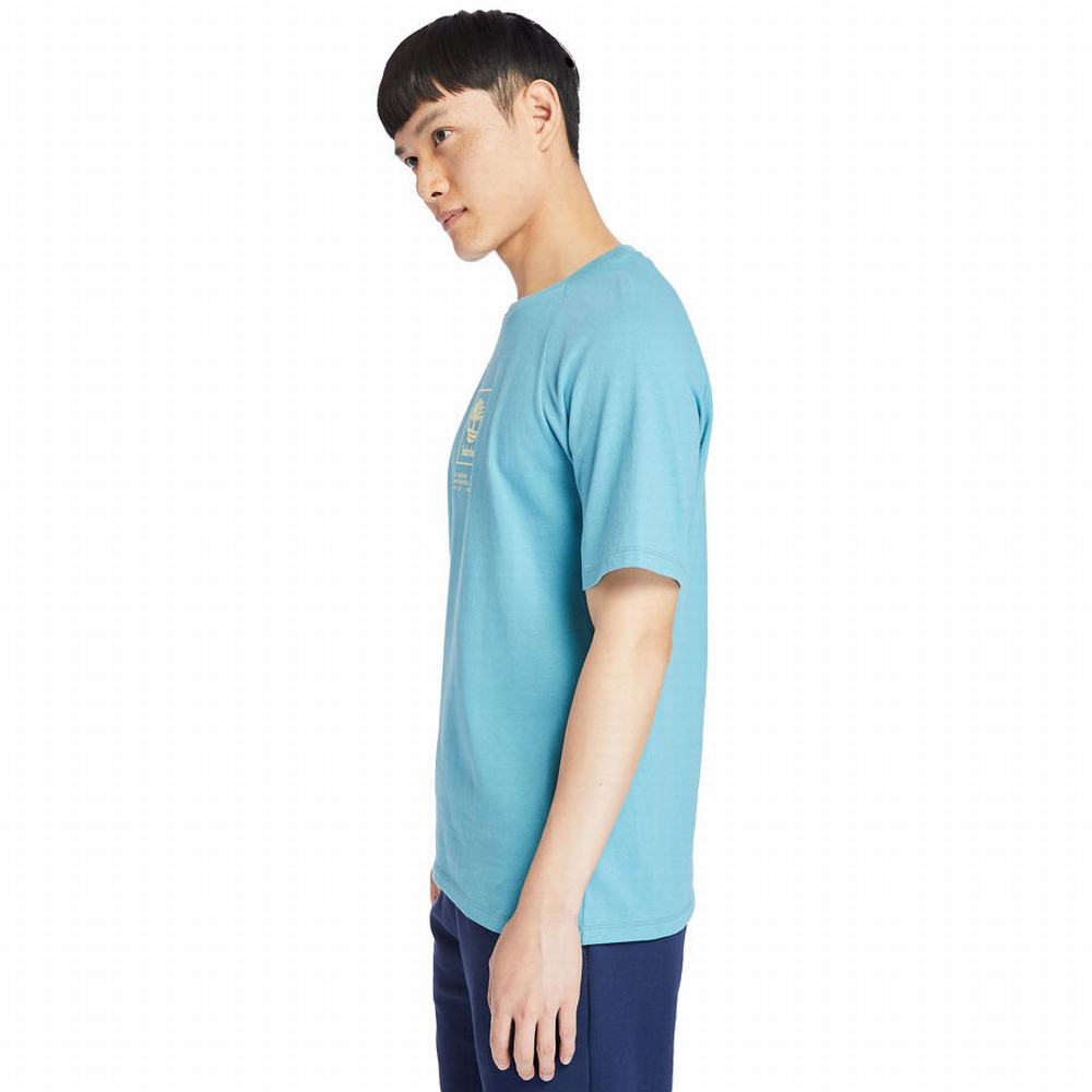 Pánské Tričko Timberland Heavyweight Logo T-Shirt Blankyt | TI19207-743