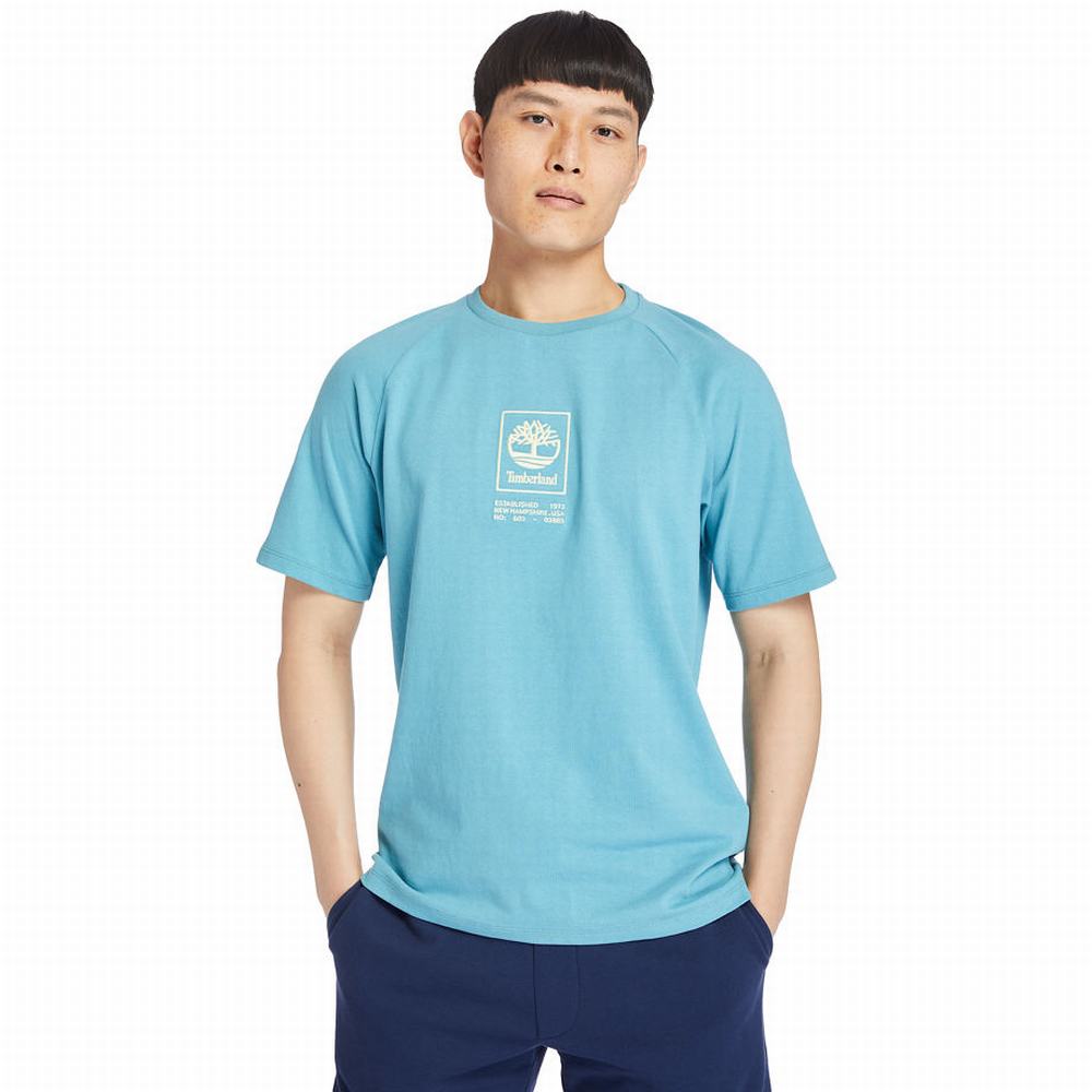 Pánské Tričko Timberland Heavyweight Logo T-Shirt Blankyt | TI19207-743