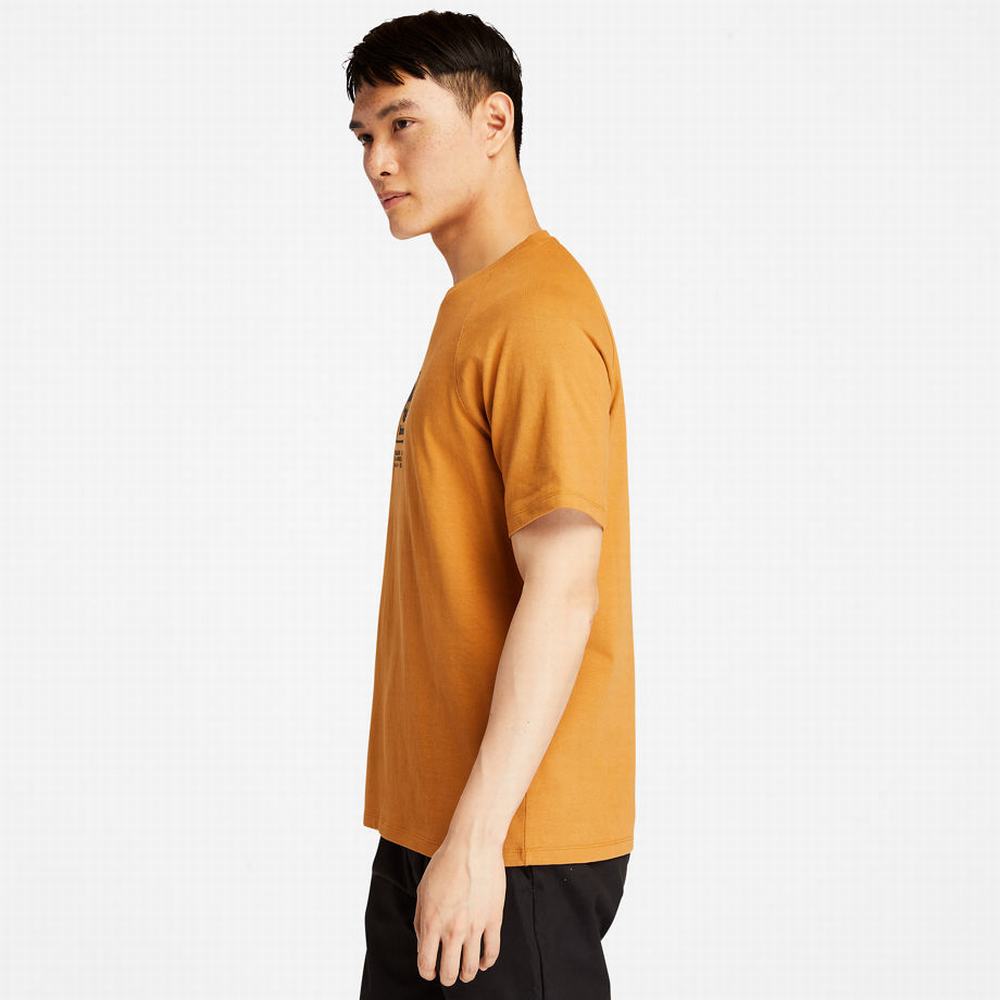 Pánské Tričko Timberland Heavyweight Logo T-Shirt Žluté | TI20467-619