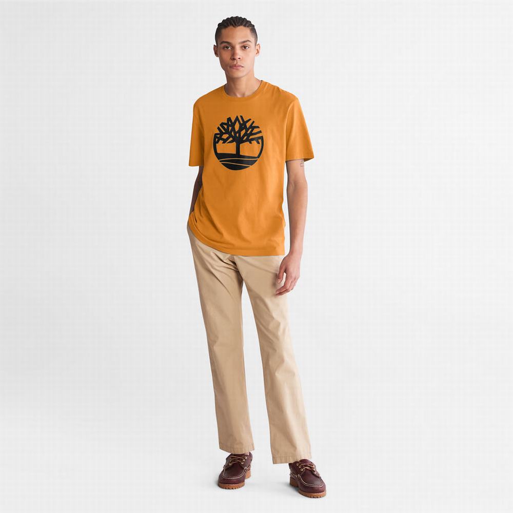 Pánské Tričko Timberland Kennebec River Tree Logo T-Shirt Žluté | TI38915-023