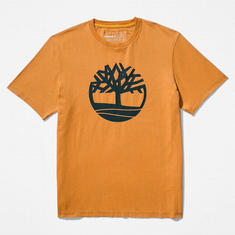Pánské Tričko Timberland Kennebec River Tree Logo T-Shirt Žluté | TI38915-023