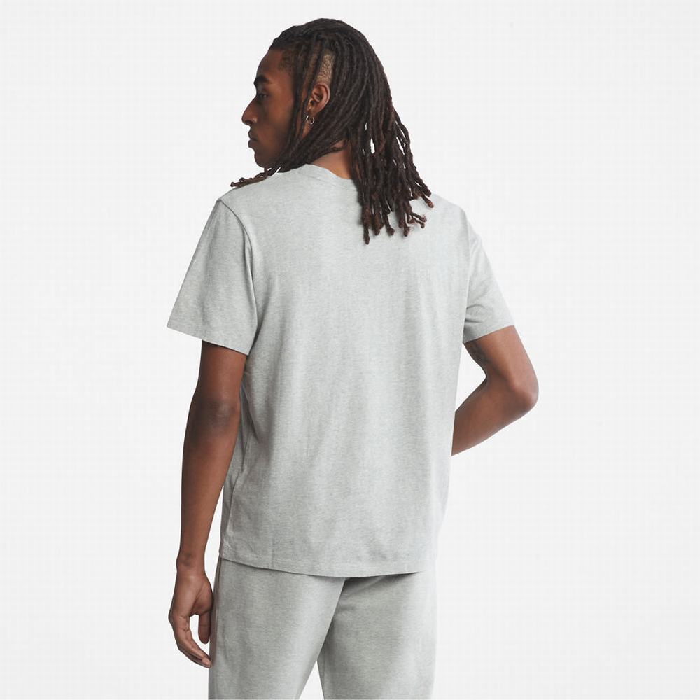 Pánské Tričko Timberland Kennebec River Tree Logo T-Shirt Šedé | TI47026-920