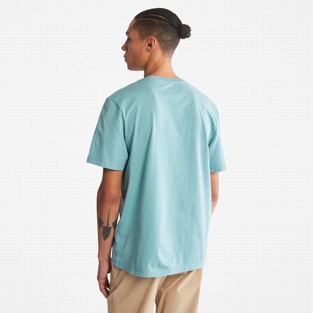 Pánské Tričko Timberland Kennebec River Tree-Logo Tee Blankyt | TI90317-765