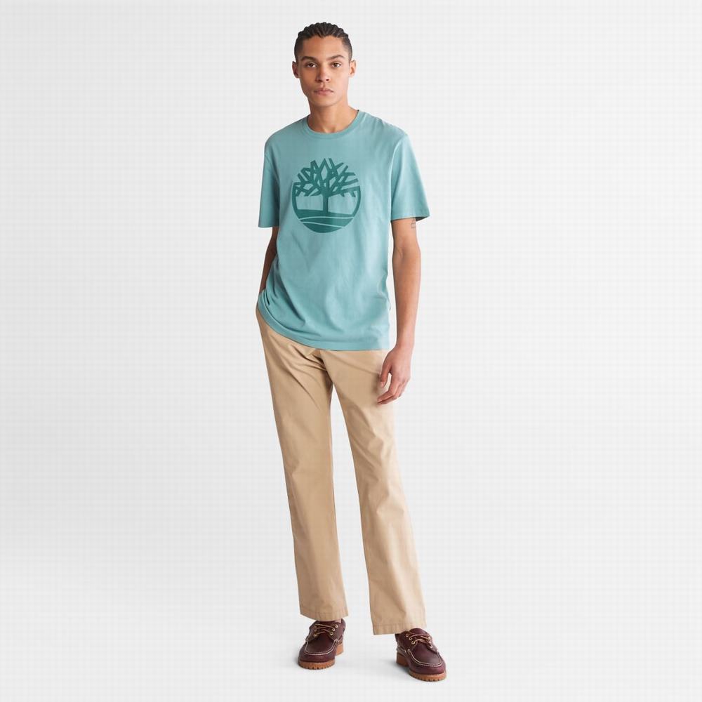 Pánské Tričko Timberland Kennebec River Tree-Logo Tee Blankyt | TI90317-765