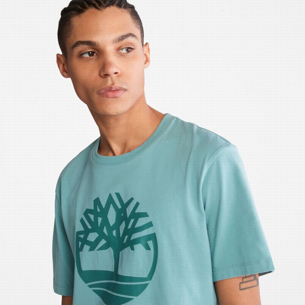 Pánské Tričko Timberland Kennebec River Tree-Logo Tee Blankyt | TI90317-765