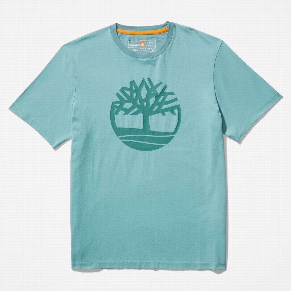 Pánské Tričko Timberland Kennebec River Tree-Logo Tee Blankyt | TI90317-765