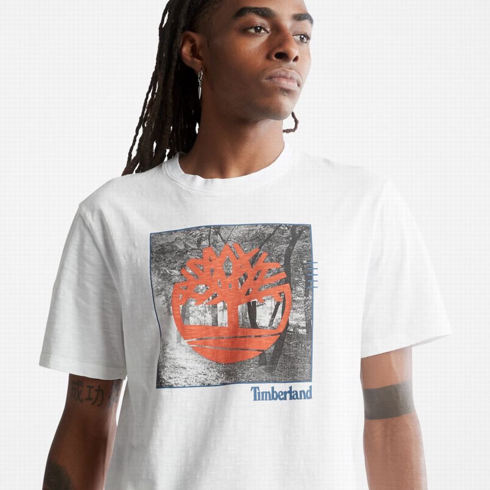 Pánské Tričko Timberland Logo Slub T-Shirt Bílé | TI36250-506