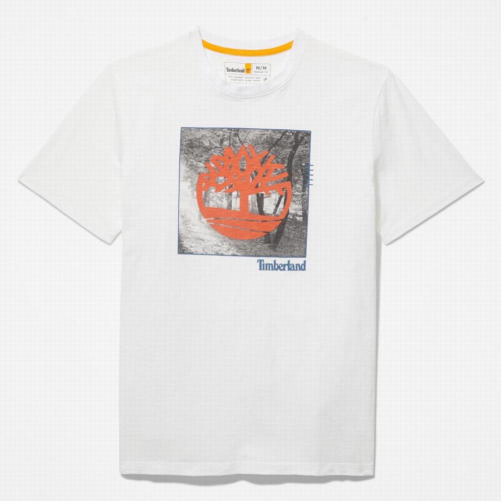 Pánské Tričko Timberland Logo Slub T-Shirt Bílé | TI36250-506