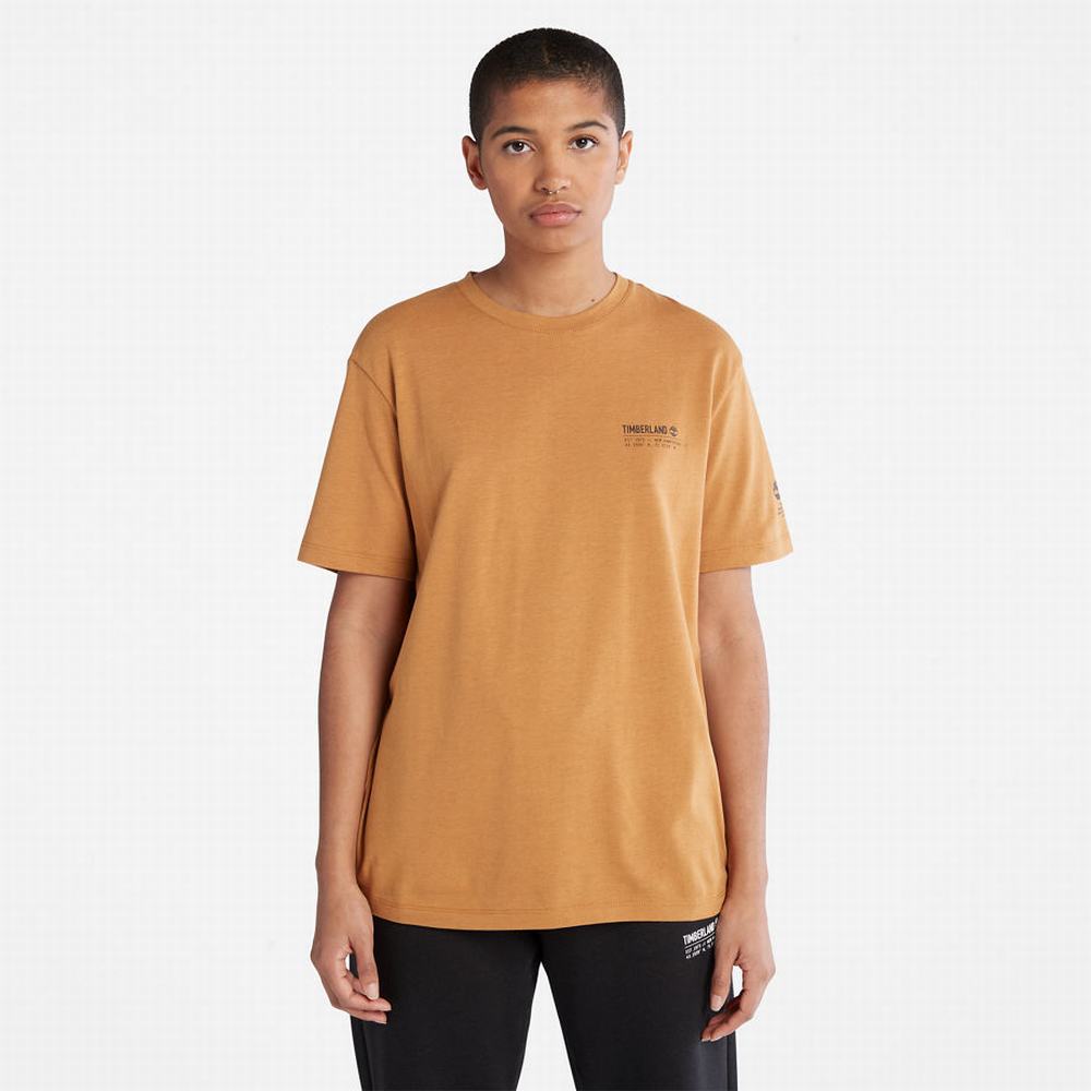 Pánské Tričko Timberland Luxe Pohodlí Essentials Tencel™ x Refibra™ T-Shirt Světle Hnědé | TI06592-276