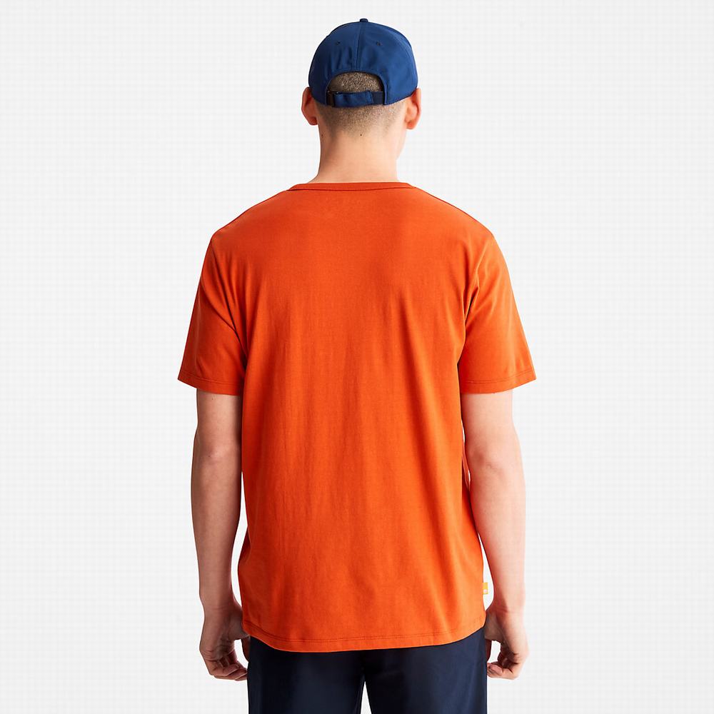 Pánské Tričko Timberland Mountains-to-Rivers Print T-Shirt Oranžové | TI90471-630