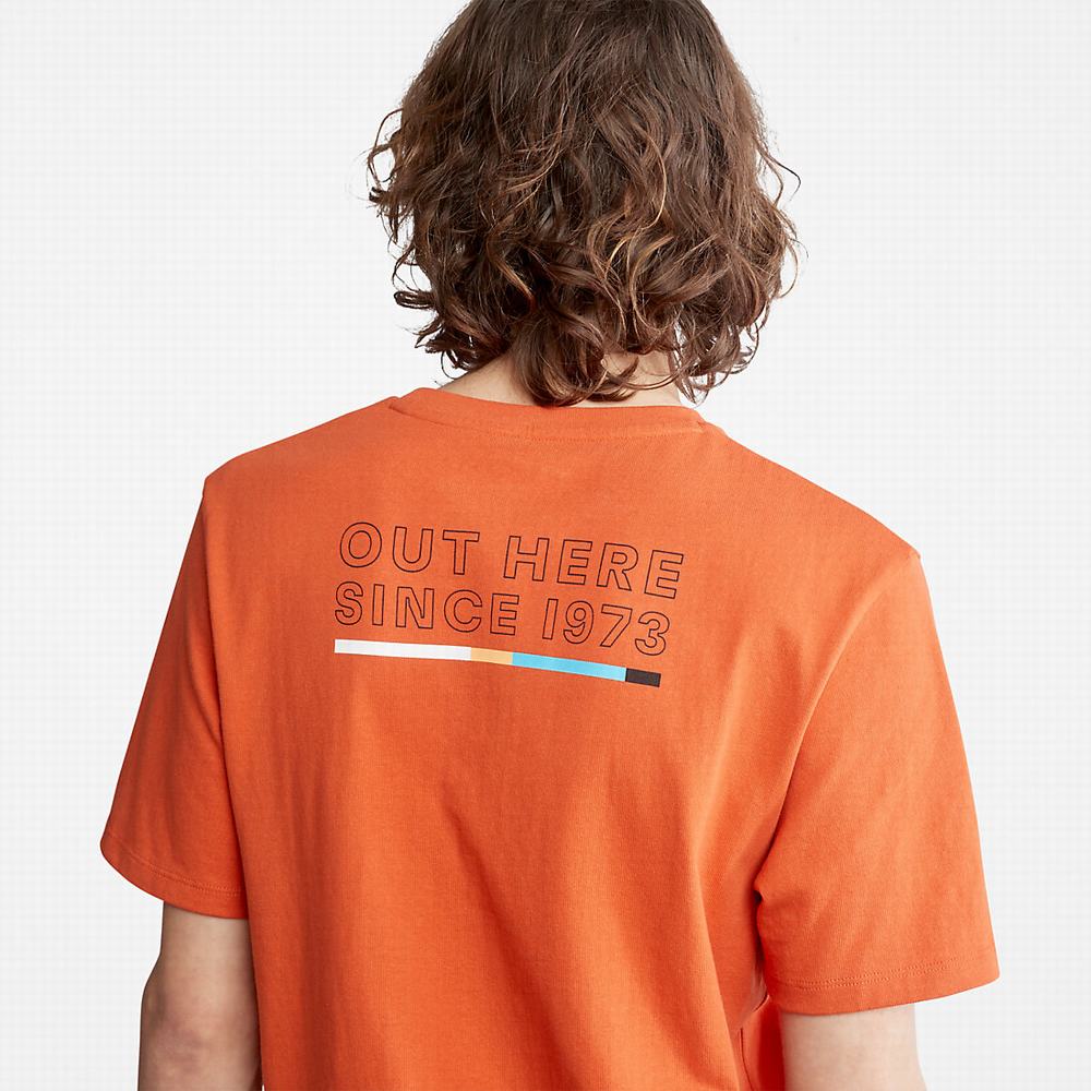 Pánské Tričko Timberland Outdoor Archive T-Shirt Oranžové | TI28964-890