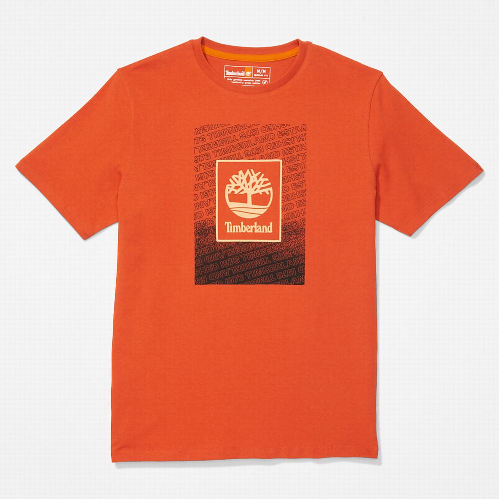 Pánské Tričko Timberland Outdoor Archive T-Shirt Oranžové | TI28964-890
