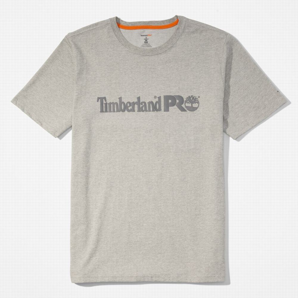 Pánské Tričko Timberland PRO® Base Plate Krátké-Sleeve Logo T-Shirt Světle Šedé | TI61473-275