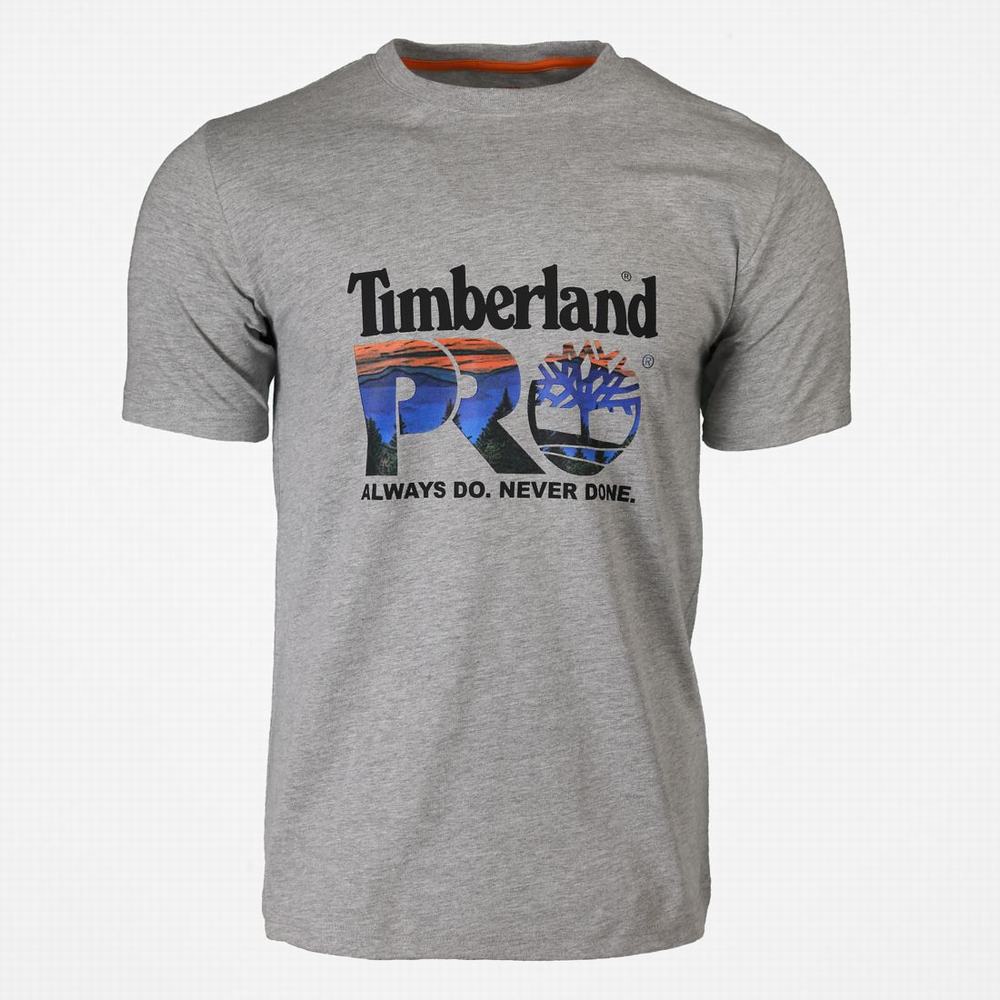 Pánské Tričko Timberland PRO® Bavlněné Core Logo T-Shirt Světle Šedé Viacfarebný | TI41572-950