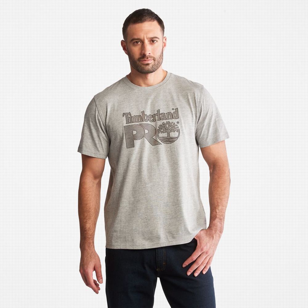 Pánské Tričko Timberland PRO® Textured Graphic Krátké-Sleeve T-Shirt Světle Šedé | TI35026-365