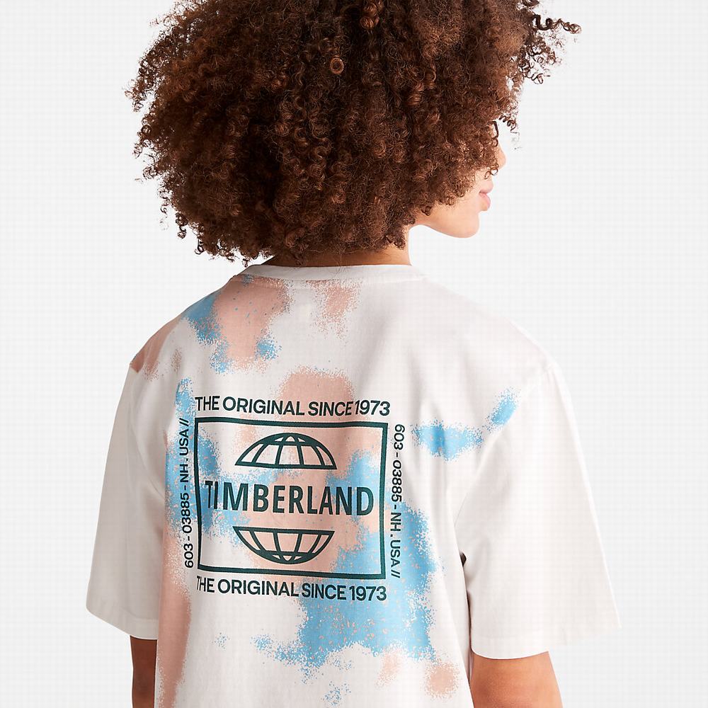 Pánské Tričko Timberland Paint Graphic T-Shirt Bílé | TI87912-612