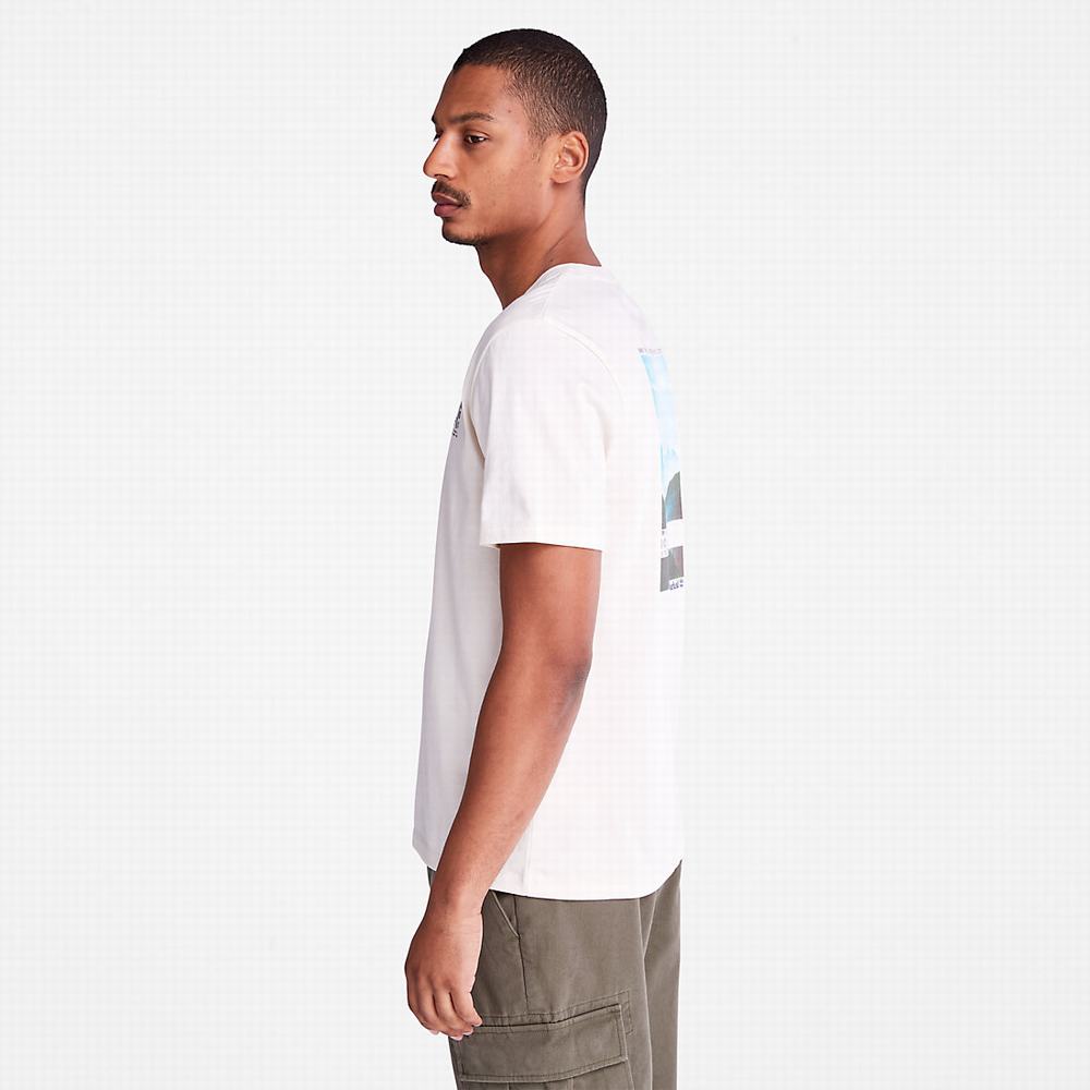 Pánské Tričko Timberland Photographic T-Shirt Bílé | TI49715-258