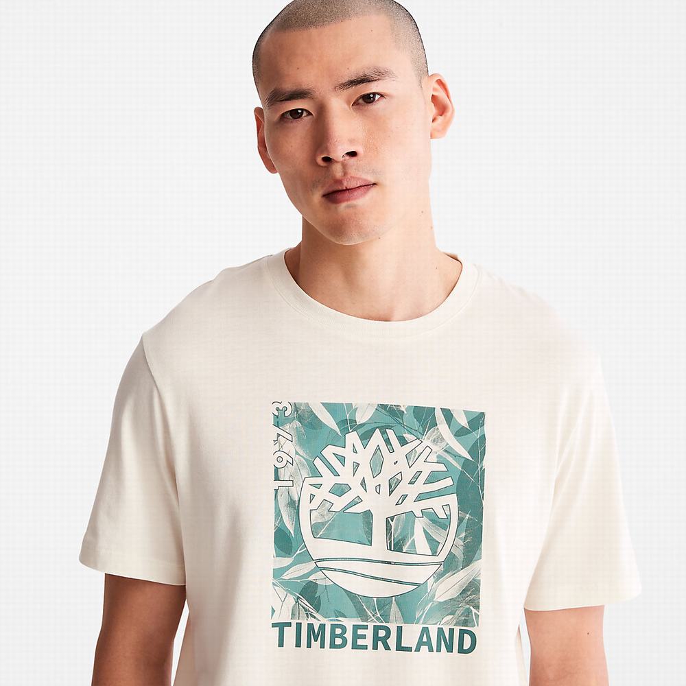 Pánské Tričko Timberland Refibra™ Graphic T-Shirt Bílé | TI27061-607