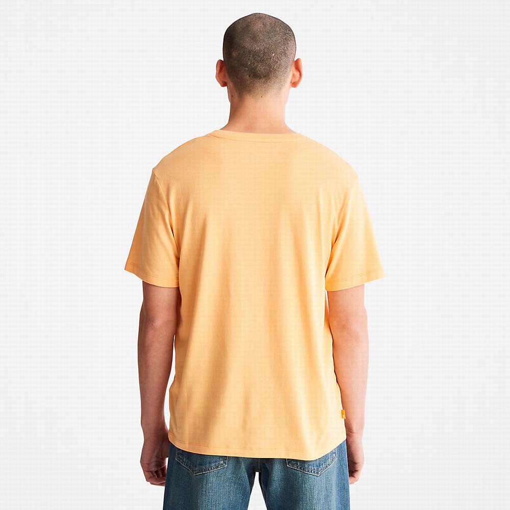 Pánské Tričko Timberland Refibra™ Graphic T-Shirt Oranžové | TI92105-841