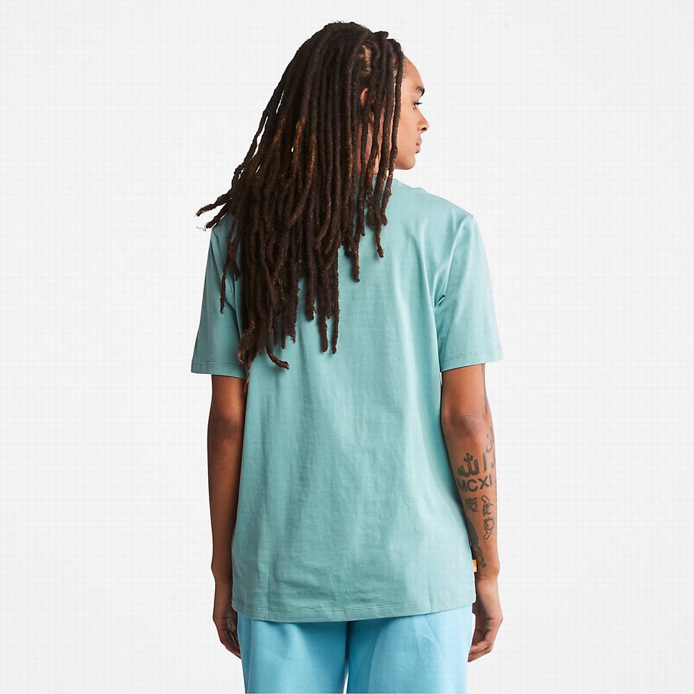 Pánské Tričko Timberland Tree Logo T-Shirt Světle Blankyt | TI25160-839