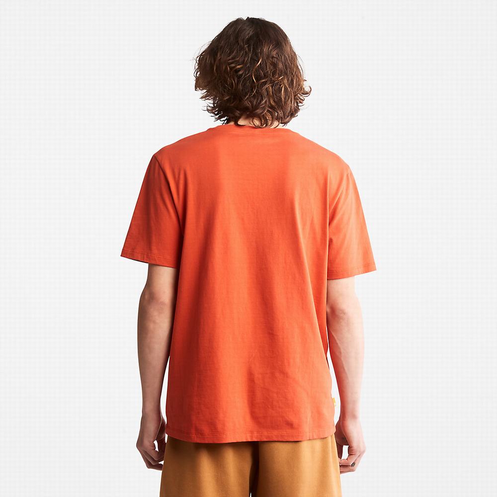 Pánské Tričko Timberland Tree Logo T-Shirt Oranžové | TI51382-807
