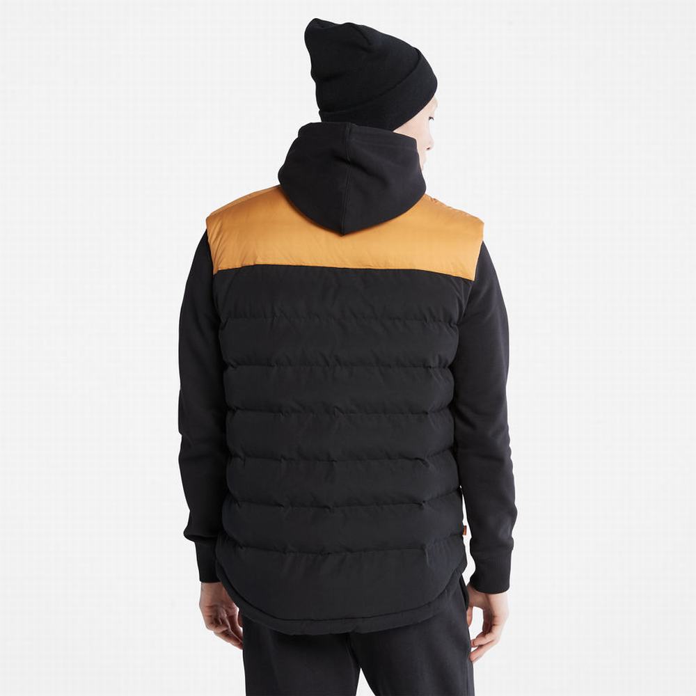 Pánské Vesty Timberland South Twin Žluté | TI70392-536